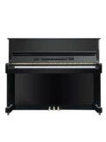 Практика домашнего хозяйства Kawaii/Kawi Second -Hand Piano Rental Rental Original Professional Professional Kawai NS25