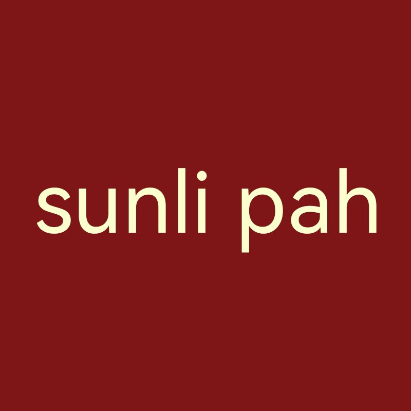 sunli pah法式衬衣