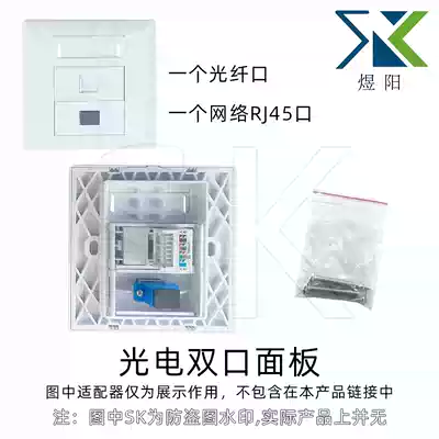 Optoelectronic double-Port panel wall network RJ45 port and fiber panel