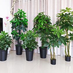 High-End Artificial Money Tree Potted Plant Office Plastic Green Plant Indoor Decoration Fake Flower Living Room Decoration Plant Bonsai