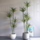 Simulated green plant Dracaena large indoor thousand-year-old wood high-end light luxury floor-standing ins style bionic plant fake tree