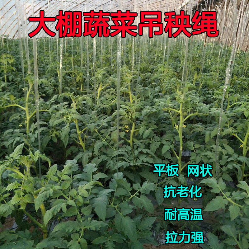 New material greenhouse special high temperature and anti-aging fruit and vegetable hanging seedling hanging rope strapping rope Nylon rope