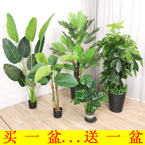 Nordic country indoor simulation large green plant bonsai traveler Canna turtle back bamboo leaf wind landing potted ornaments