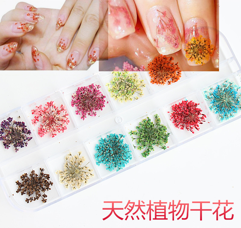 美甲干花饰品工具用品光疗水晶甲立体干花指甲油装饰12色大小真花