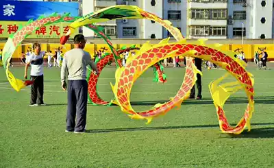 Adult fitness dragon dance dragon throw dragon 5 meters 8 meters 13 meters Children's dance streamer throw fitness dragon belt throw streamer