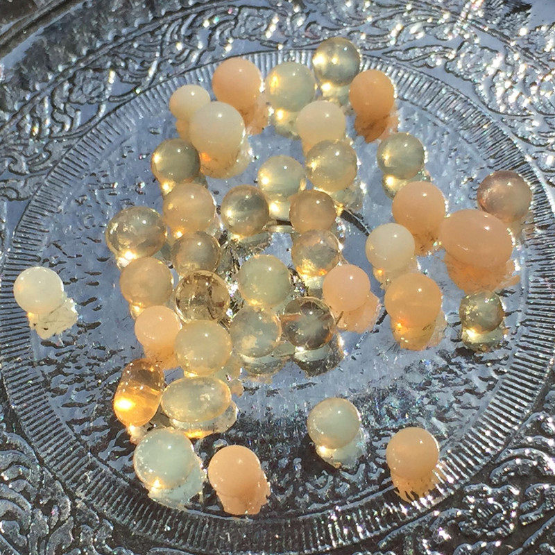 The Sakyamushita stuttgon holds the offerings of the stupa