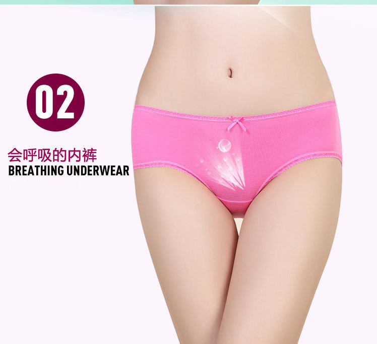 Slip jeunesse QJNK011 en coton - Ref 665379 Image 11