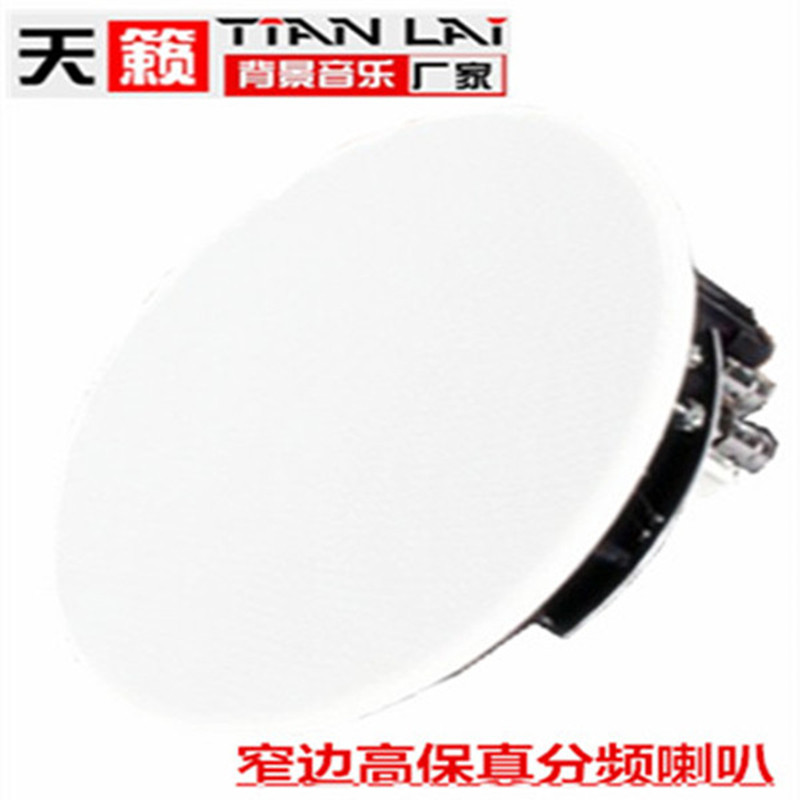 Sky Music TL-52 Background Music Power Amplifier Suction Top Ultra Slim Horn Soundless Passive Constant Resistance Frequency Dividing Speaker-Taobao
