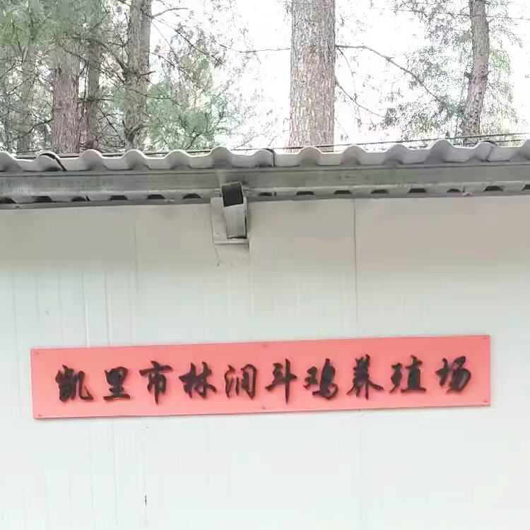 林润越泰