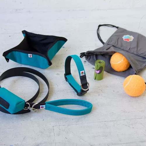 Pet Cat и собака складывает портативную миску Wildbeest Американский импортный дизайнерский холст.