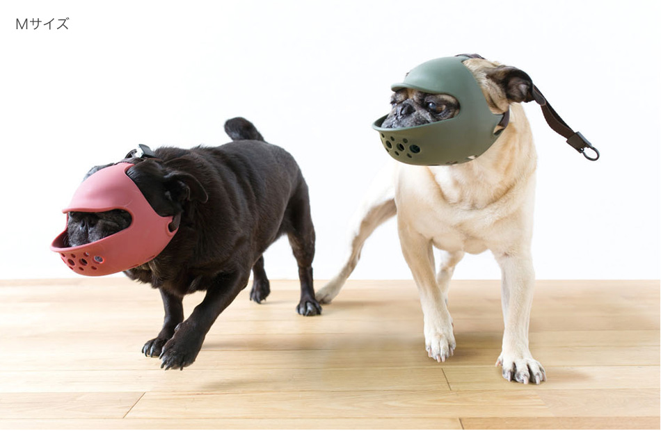 Japan imports Quack Face Boston Faggressive short nose dog dog cat mouth guard bite mask Elizabeth