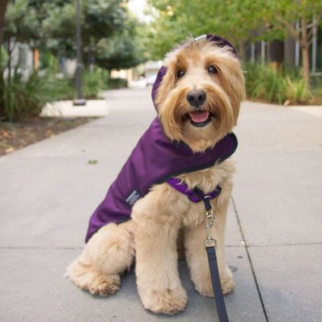 wildebeest dog jacket