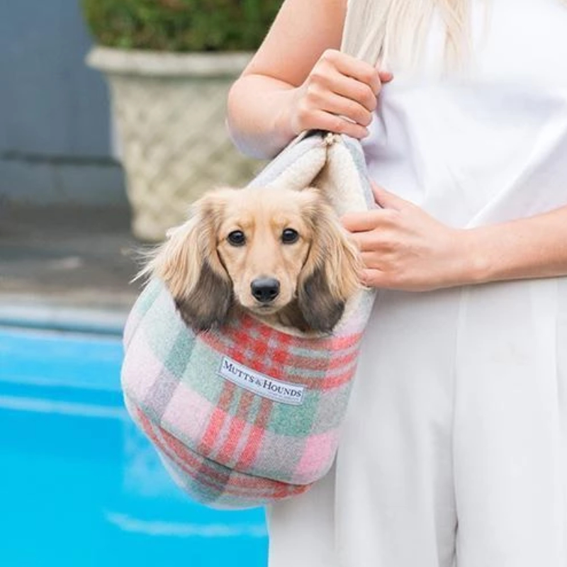 Waterproof wool How to walk the dog bag Mutts Hound UK imports Four Seasons of Pet Handheld Petisan