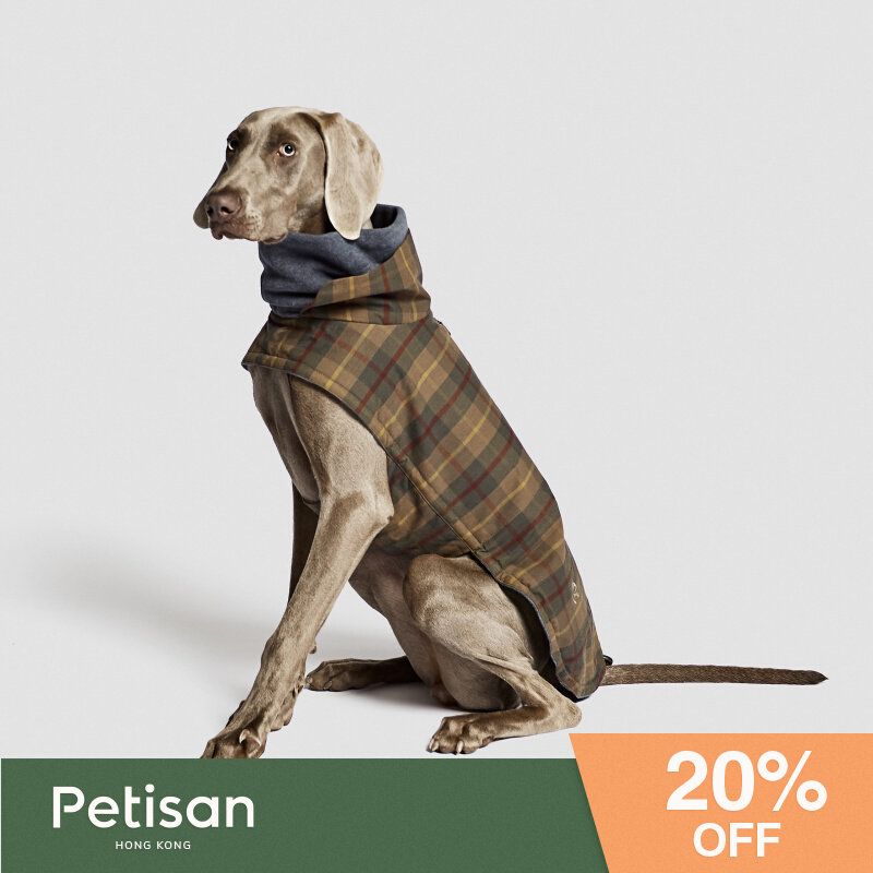 Brucklin coat German import Cloud7 high-collar waterproof adjustable autumn and winter warmth warm petisan