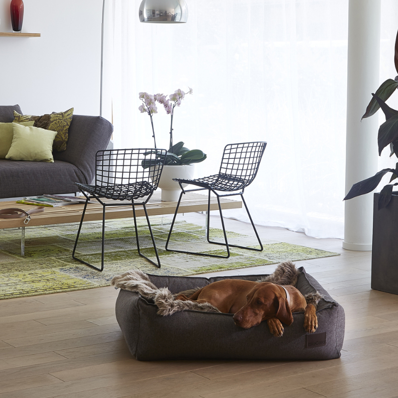 Lana pet long hair warm blanket Germany imported Miacara autumn and winter sleeping with velvet thick petisan