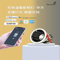 Xiaoyan smart light lighting lights support homekit embedded anti-glare dimming dimming color led living room voice