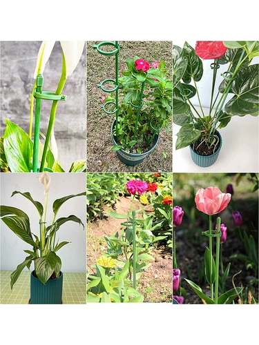 Растения зафиксированы против проникновленной цветочной полки, садовая поддержка одноразовая садовая садовая садовая роза Гидрага, поддерживающая цветочная кронштейна