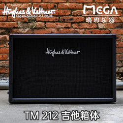 독일 HK Hughes / Kettner TM 212 기타 캐비닛