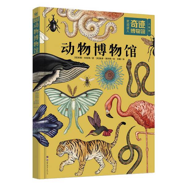 Authentic 90% New Books | Miracle Museum Animal Museum Fantasyland Selected Animal Encyclopedia [English] Jenny Bloom; Translated by Su Liang; Illustrated by [English] Katie Scott 97875192546