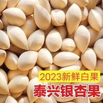 Ginkgo Taixing Premium Shelled Big Buddha Finger Fresh Unbleached Ginkgo