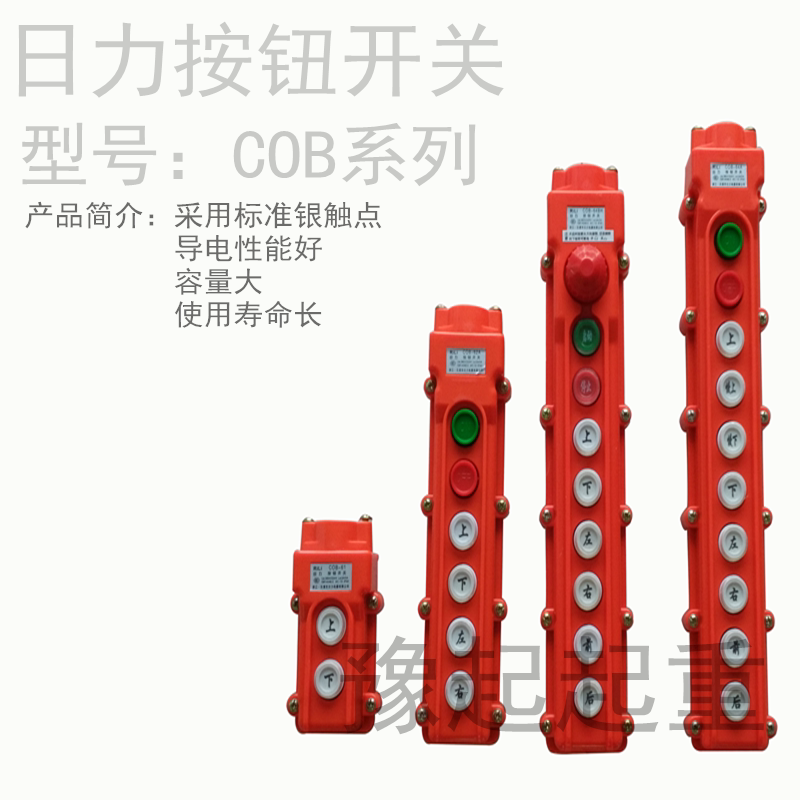 Crane crane driving electric hoist control handle button Yueqing Rili COB rain-proof button switch
