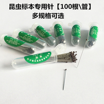 Make insect specimen needle stainless steel butterfly unicorn beetle specimen fixed needle 4th 1st 2nd 3rd needle