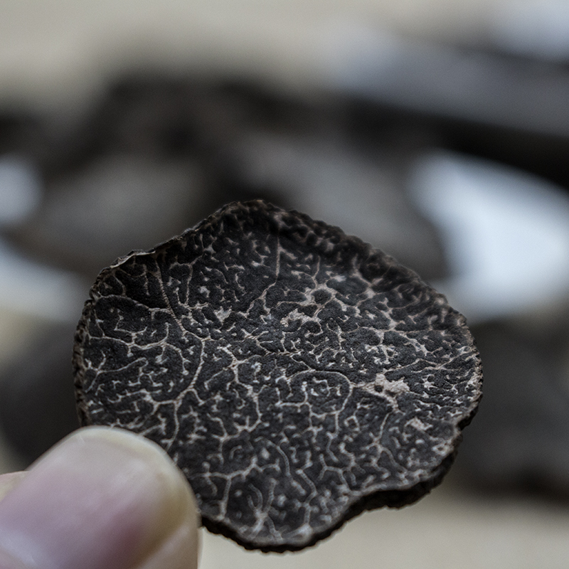 Wild black truffle bacteria dry flakes 3 cm or more 50 gr Fungus Pig Arch black truffle dry goods