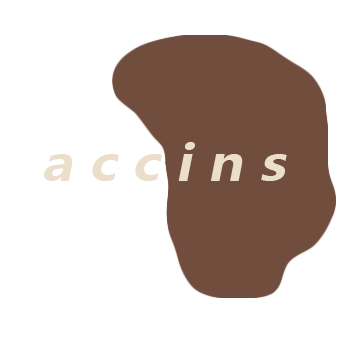 accins歐美鋯石閃亮光板情侶手鐲