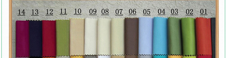 Color Card_01_09.jpg