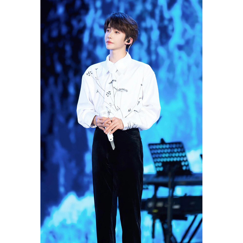 Liu Yu Celebrity-Style White Collared Shirt with Plant Embroidery, Men's Tie Style, Vintage Silhouette, Casual Long-Sleeve Trendy Brand Liu Yu Celebrity-Style White Collared Shirt with Plant Embroidery, Men's Tie Style, Vintage Silhouette, Casual Long-Sleeve Trendy Brand