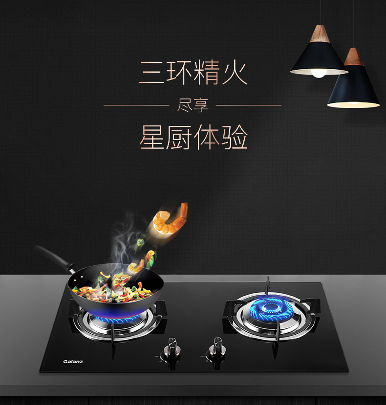 294燃气灶_03.jpg