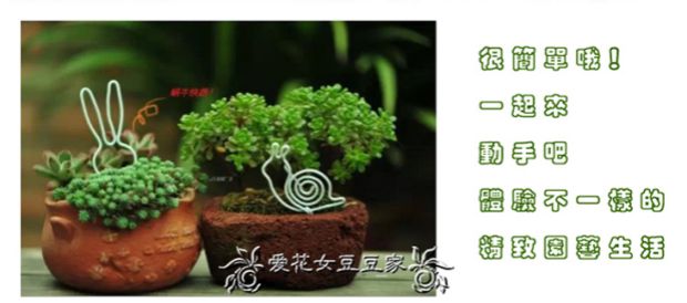 Dây chuyền tấm đen Hướng dẫn sử dụng dây nhựa bọc nhựa DIY Đồ dùng làm vườn vòi nước tưới cây