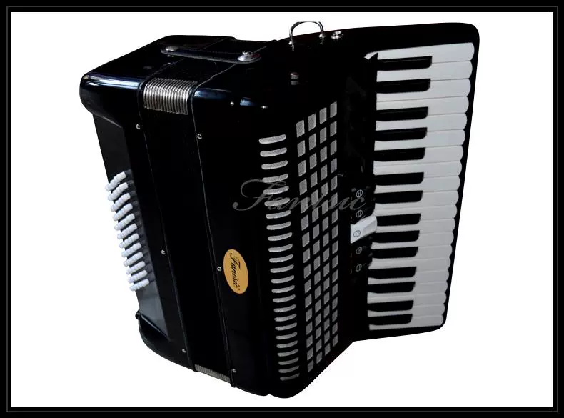 Felix FANISIC Accordion Nhạc cụ 96 Bass 120 Bass 60 Bass Accordion Case Xe đẩy trực tiếp - Nhạc cụ phương Tây trống lắc
