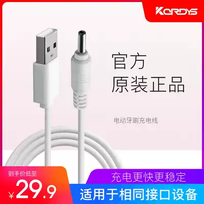 Curtis electric toothbrush data cable Curtis Electric toothbrush charging accessories
