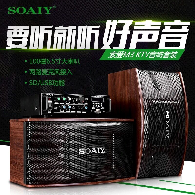 Sony Ai CK-M5 family KTV audio set card bag speaker 8 inch Dance Studio conference power amplifier theater dedicated