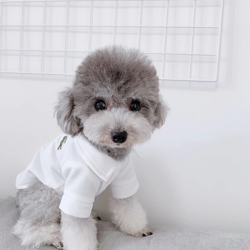 Dog Summer Clothes Teddy Bichon Small Dog Trendy Brand Embroidered Polo Shirt Pet Pure Cotton Breathable T-Shirt