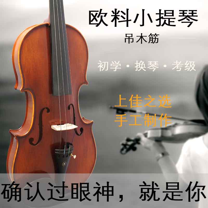 Violin Beginners Professionals Children Grade Pure Handcrafted Adult Assaulter for Introductory Adult Imported Viola