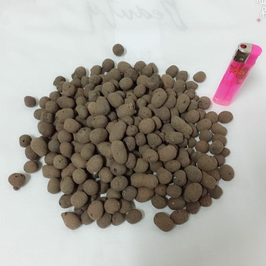 Gốm carbon bóng đất nung trung bình trồng mọng nước cung cấp thủy canh chậu đáy đá lát đá thoát nước thoáng khí vòi tưới cây tăng áp