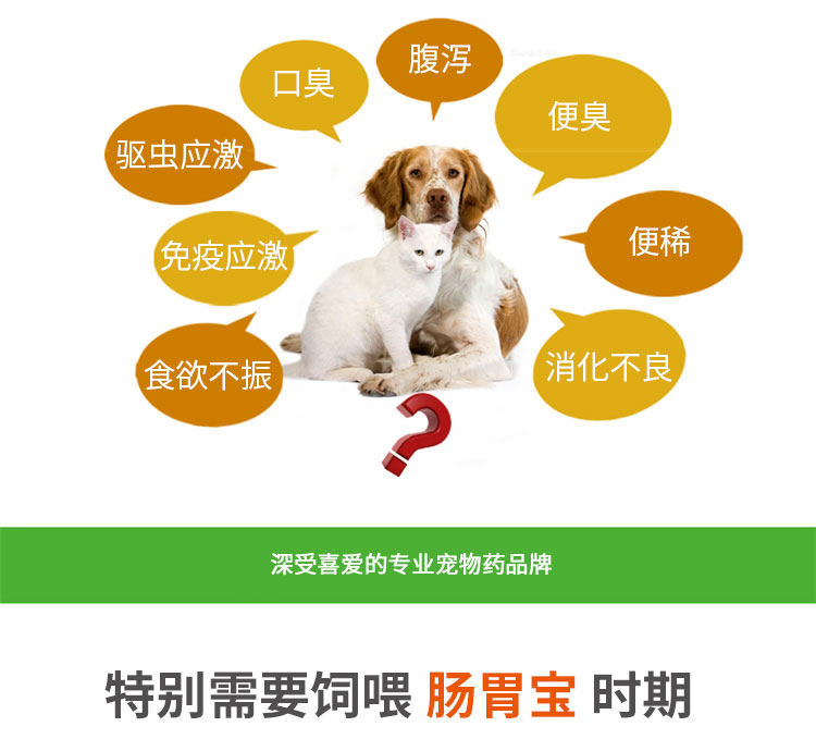 Thú cưng nhỏ, dạ dày, chó, chó, chó con, mèo, Teddy Husky đặc biệt, điều hòa, dạ dày, thú cưng, men vi sinh, 10 bao bì - Cat / Dog Health bổ sung sữa cho chó mèo
