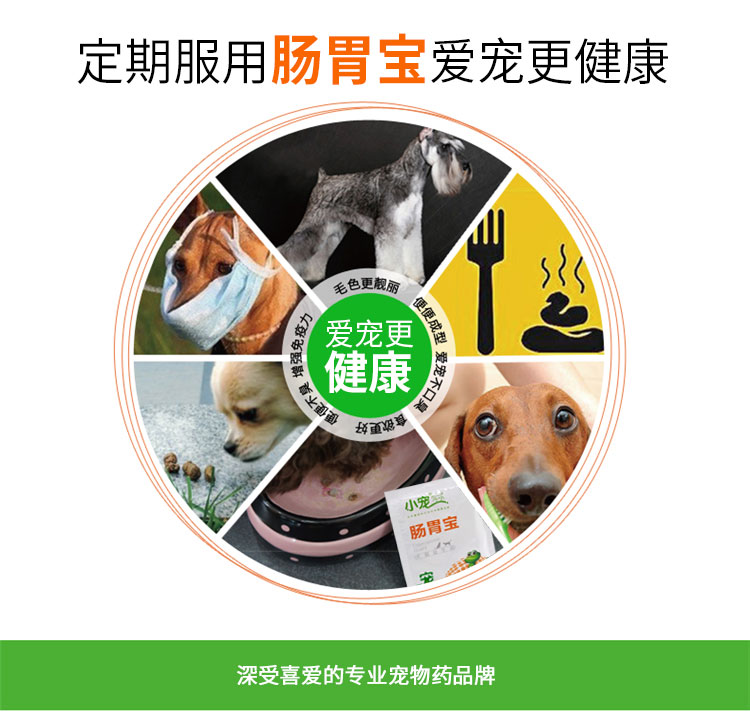 Thú cưng nhỏ, dạ dày, chó, chó, chó con, mèo, Teddy Husky đặc biệt, điều hòa, dạ dày, thú cưng, men vi sinh, 10 bao bì - Cat / Dog Health bổ sung sữa cho chó mèo