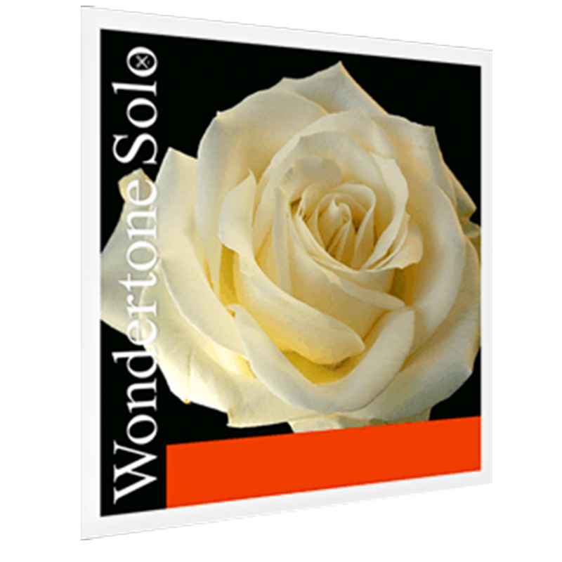 The introduction of German original imported PIRASTRO Wondertone Solo violin string nylon A string