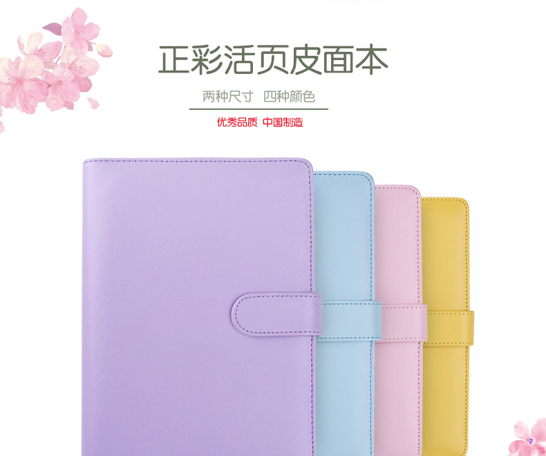 Zhengcai Box Placket_01.jpg