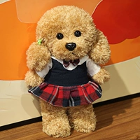 Юбка для ветра колледжа