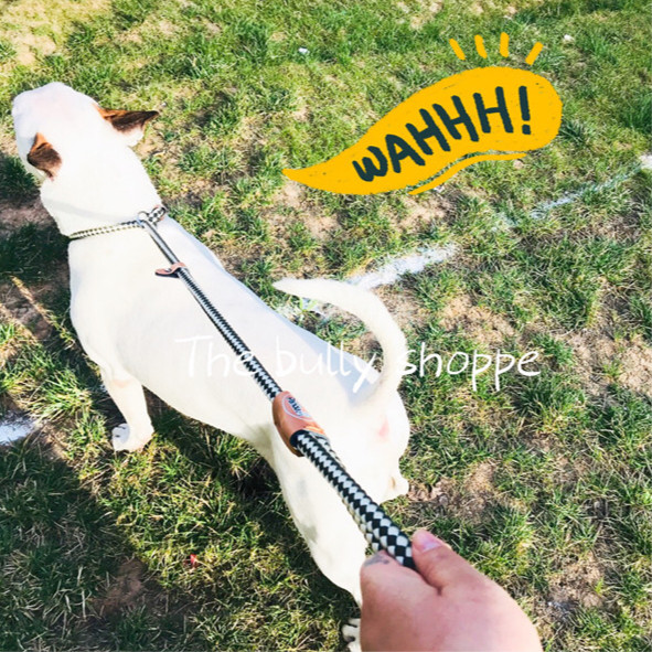 Dog leash medium and large dog chain dog rope large dog collar P chain P rope