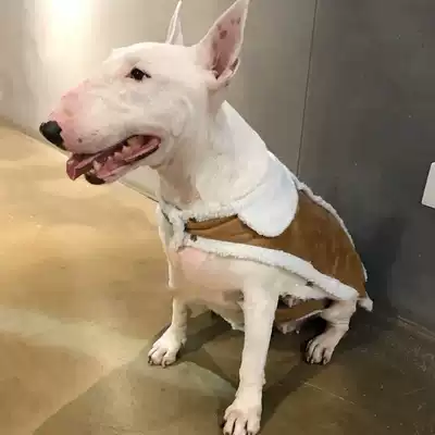 Pet autumn and winter anti-fur fur pony armor big dog clothes Fat dog clothing Bull terrier Stafford autumn and winter clothing