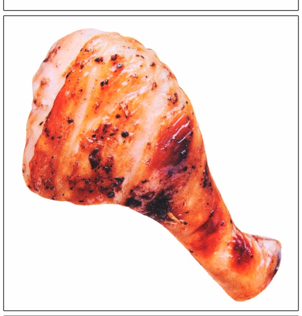 Chó đồ chơi giọng hát sang trọng cắn thú cưng bóng lớn chó mèo mô phỏng thực phẩm đồ chơi vui mèo mèo đồ chơi đồ chơi cho chó gặm