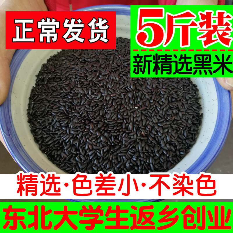 Northeast farmhouse self-production selected black rice new rice 5 catty of grain coarse cereals black and fragrant rice 2500g black rice long grain