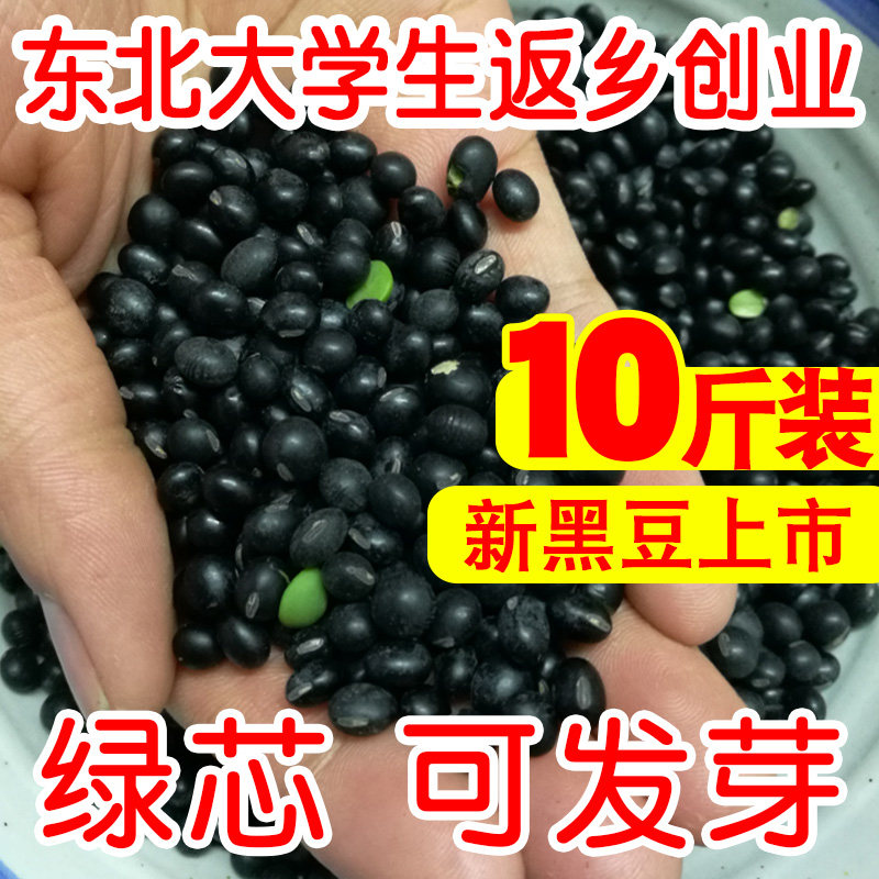 Northeast farmhouse self-produced green core small black bean 10 catty of cereal non-genetically modified soy milk germinated vinegar soak in blue and black small beans
