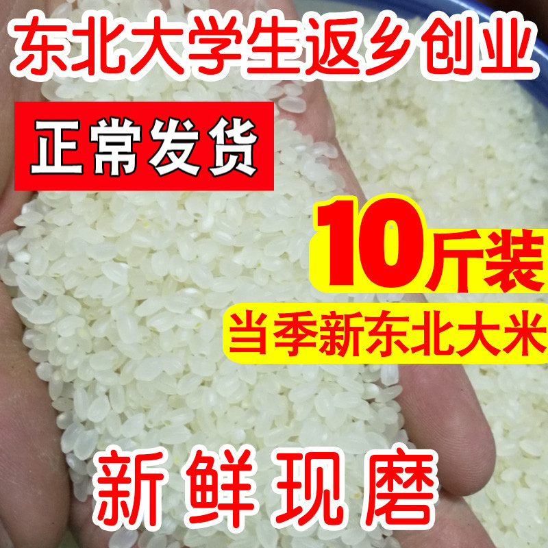 Northeast rice 5kg Heilongjiang pearl rice farmhouse self-produced new rice Akita Xiaoding 10kg japonica fresh rice in bulk