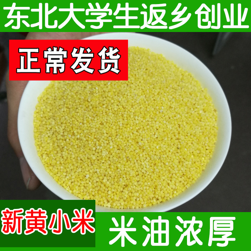 Northeast millet food new rice farmhouse produced yellow millet porridge material 500g small yellow rice baby rice moon
